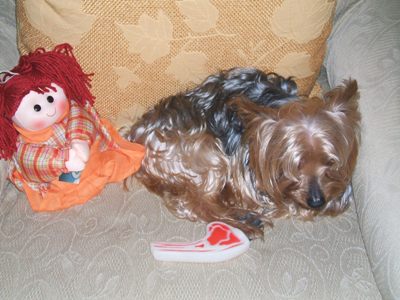 obrázek - natale_2009_031.jpg