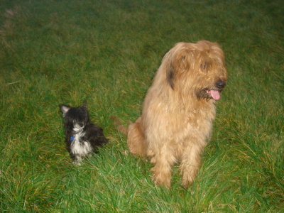 obrázek - niky_eli_tyna_a_renca_075.jpg