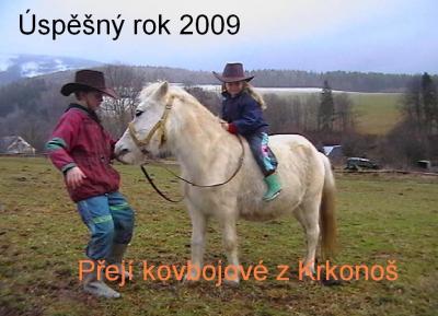 obrázek - novorocni_prani.jpg