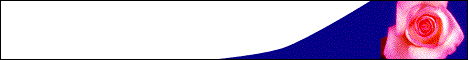 http://www.stastnezeny.cz/data/USR_001_USR_IMAGES/obr.gif