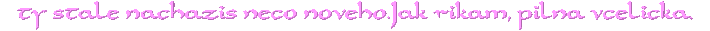http://www.stastnezeny.cz/data/USR_001_USR_IMAGES/pl.gif