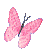 http://www.stastnezeny.cz/data/USR_001_USR_IMAGES/pohybujici_motyl.gif