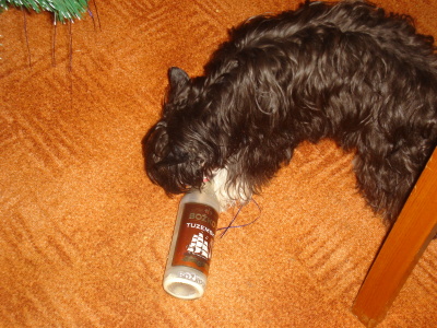 obrázek - pozdrac_niky_003.jpg