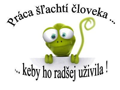 obrázek - prace(8).jpg