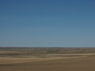 obrázek - prairie(2).jpg