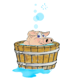 http://www.stastnezeny.cz/data/USR_001_USR_IMAGES/prasatko_sud.gif