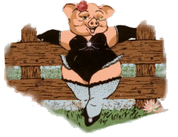 http://www.stastnezeny.cz/data/USR_001_USR_IMAGES/prase_zena.gif