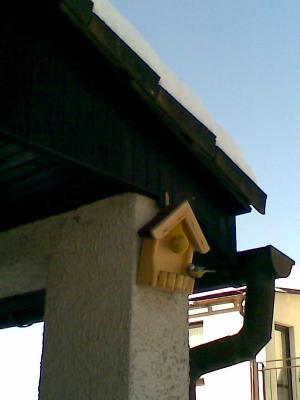 obrázek - qeqeq.jpg