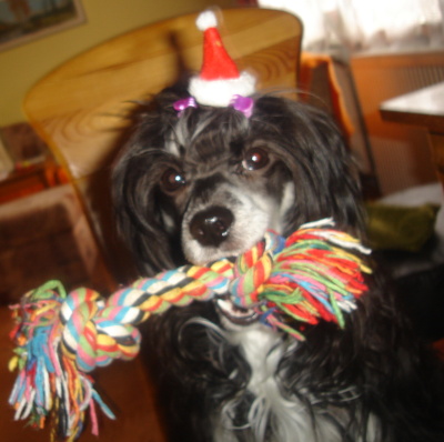 obrázek - santa_niky_006.jpg