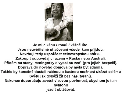 obrázek - sbirka(1).jpg