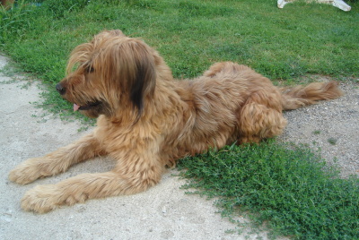obrázek - svadba_pl_09_020.jpg