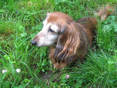 obrázek - th_IMG_3559.jpg