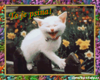 obrázek - vti0078.gif