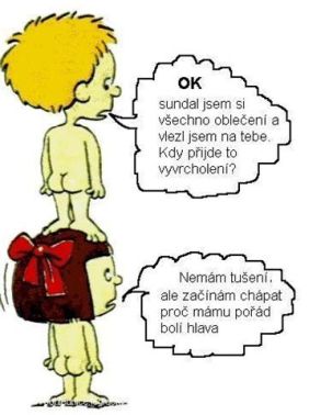 obrázek - vyvrcholeni.jpg