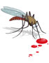 Komáři, ovádi, klíšťata. Otravní a nebezpeční letní společníci.