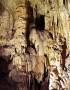 Slovinský krasový ráj - Postojnský jeskynní systém