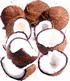 Kokosov srdka