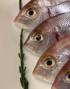 Pangasius na másle a koření