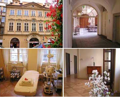 ellen salon